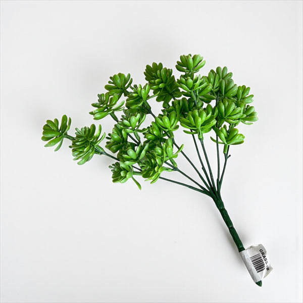 დეკორატიული გამწვანება