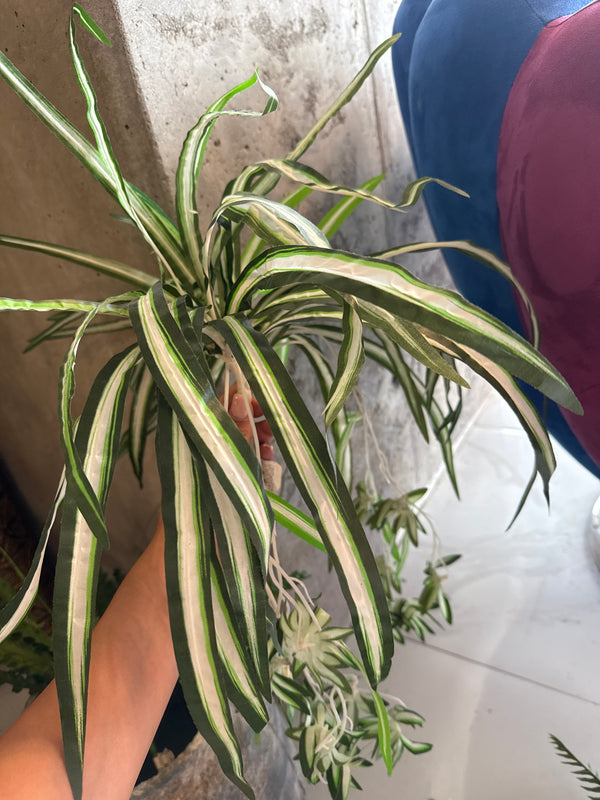 გამწვანება