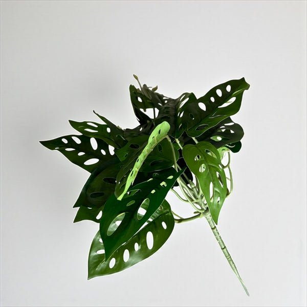 დეკორატიული გამწვანება