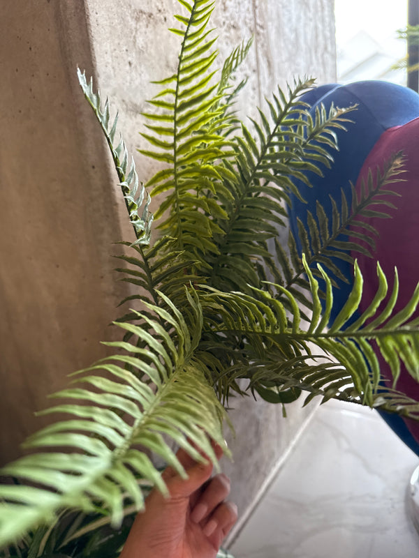 დეკორატიული გამწვანება