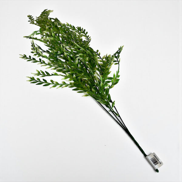 დეკორატიული გამწვანება