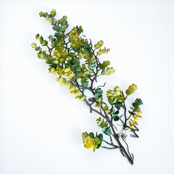 დეკორატიული გამწვანება