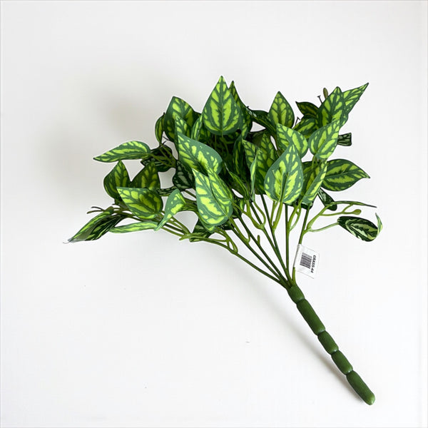 დეკორატიული გამწვანება