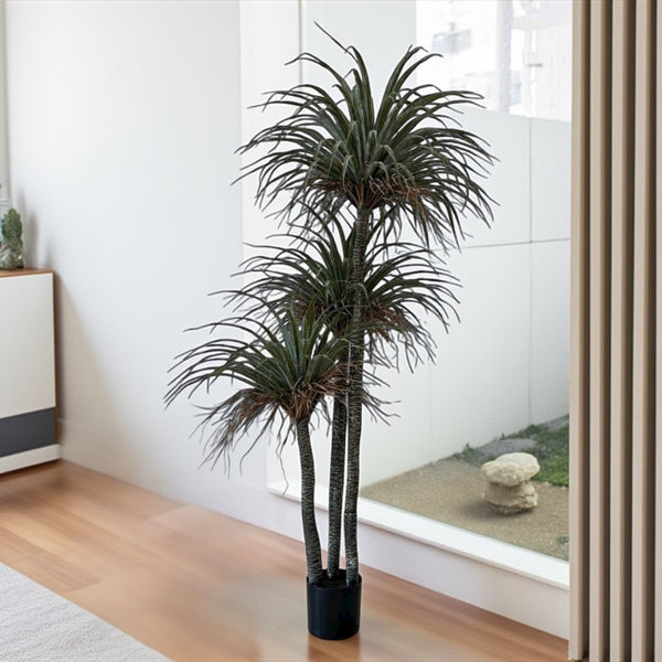 დეკორატიული ხე