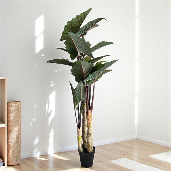 დეკორატიული ხე