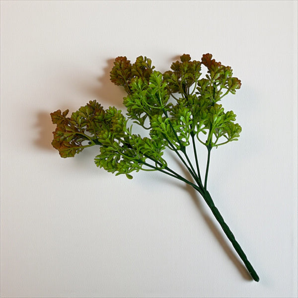 დეკორატიული გამწვანება