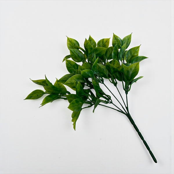 დეკორატიული გამწვანება