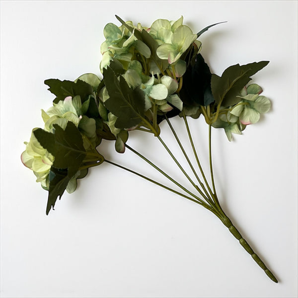 დეკორატიული გამწვანება