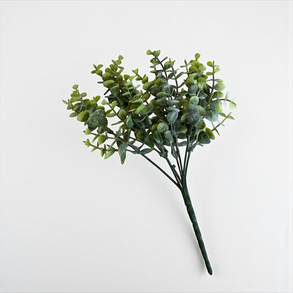 დეკორატიული გამწვანება