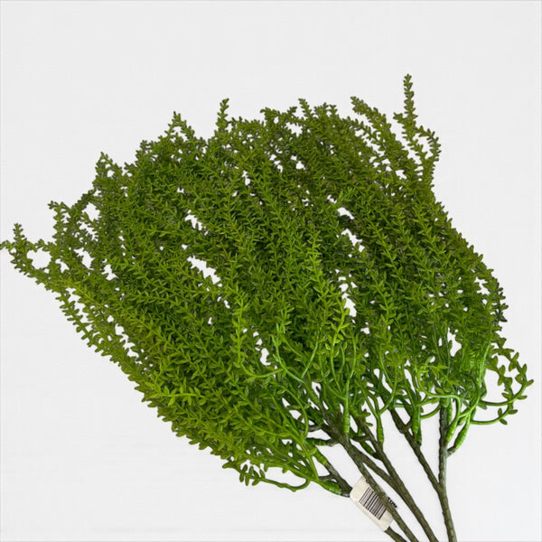 დეკორატიული გამწვანება