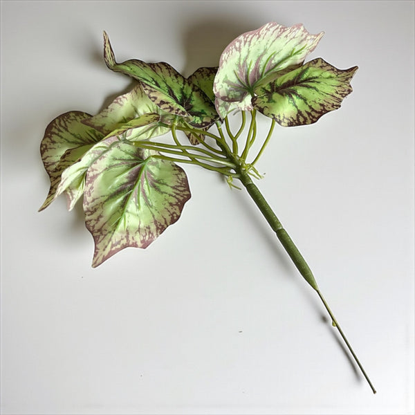 დეკორატიული გამწვანება