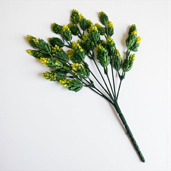 დეკორატიული გამწვანება