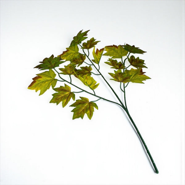 დეკორატიული გამწვანება