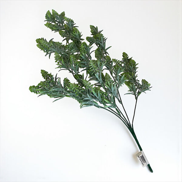 დეკორატიული გამწვანება