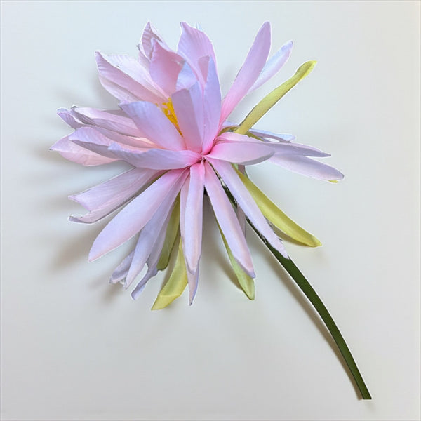 დეკორატიული გამწვანება