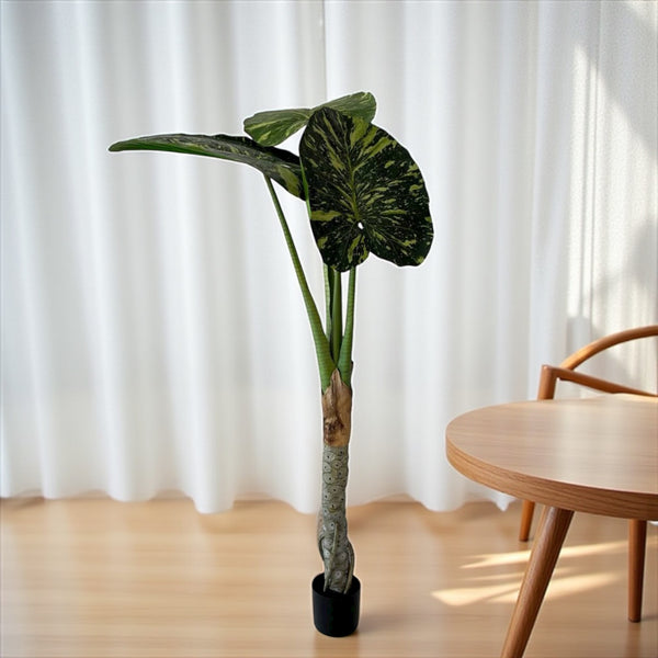 დეკორატიული ხე