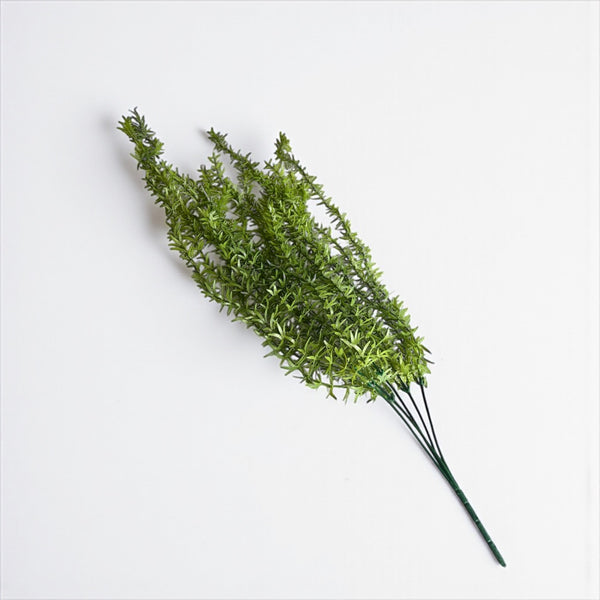 დეკორატიული გამწვანება