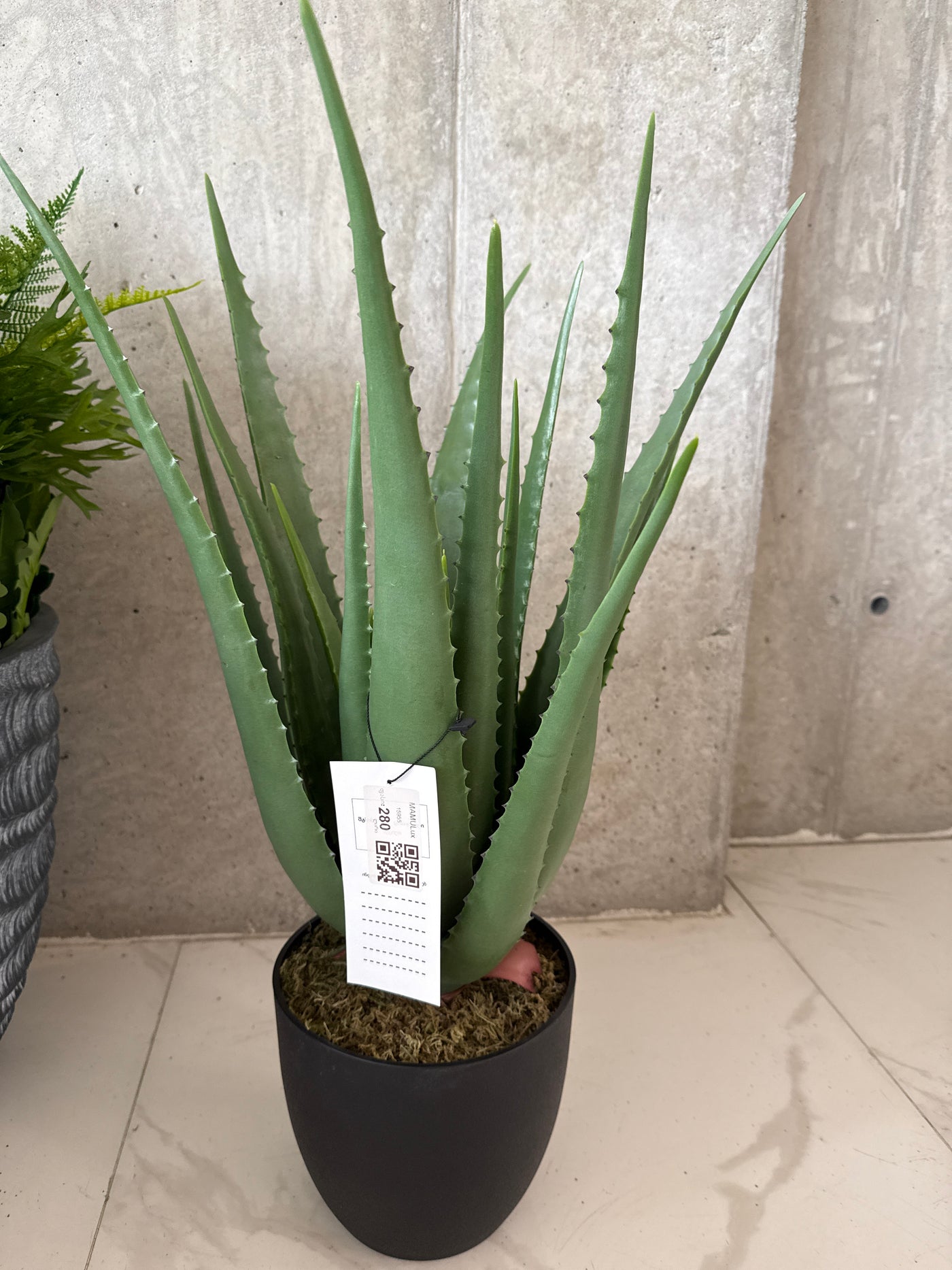 პლასტმასის ხელოვნური მცენარე