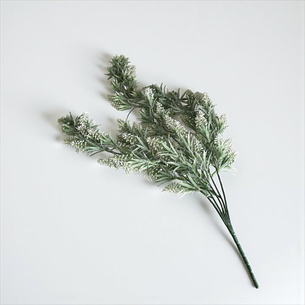 დეკორატიული გამწვანება