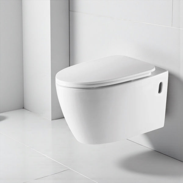 დასაკიდი უნიტაზი