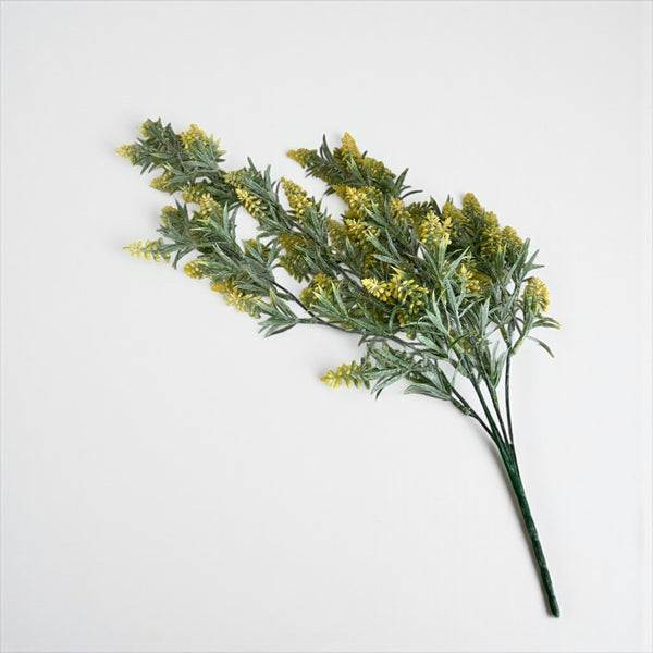 დეკორატიული გამწვანება