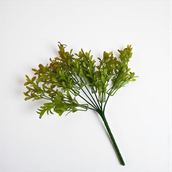 დეკორატიული გამწვანება