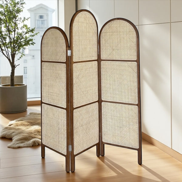 კედლის გამყოფი