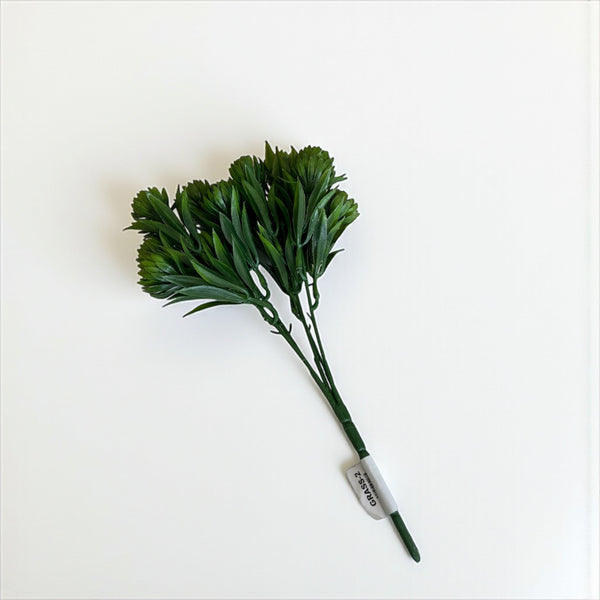 დეკორატიული გამწვანება