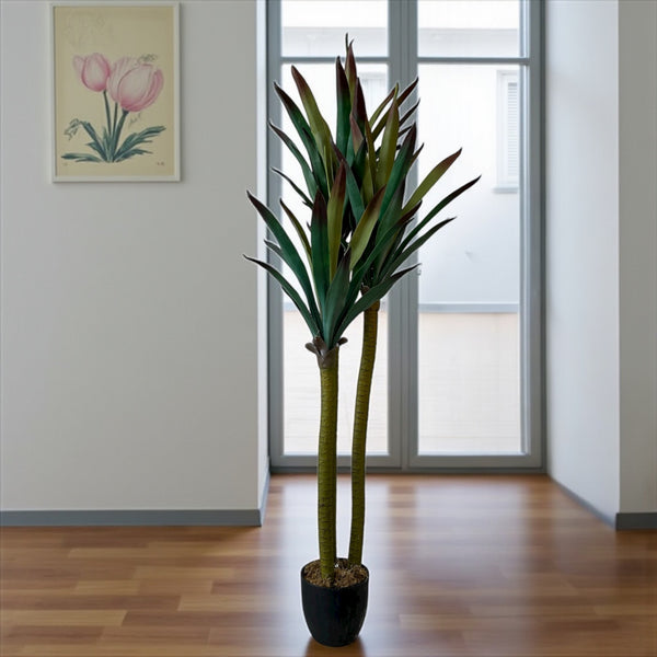 დეკორატიული ხე