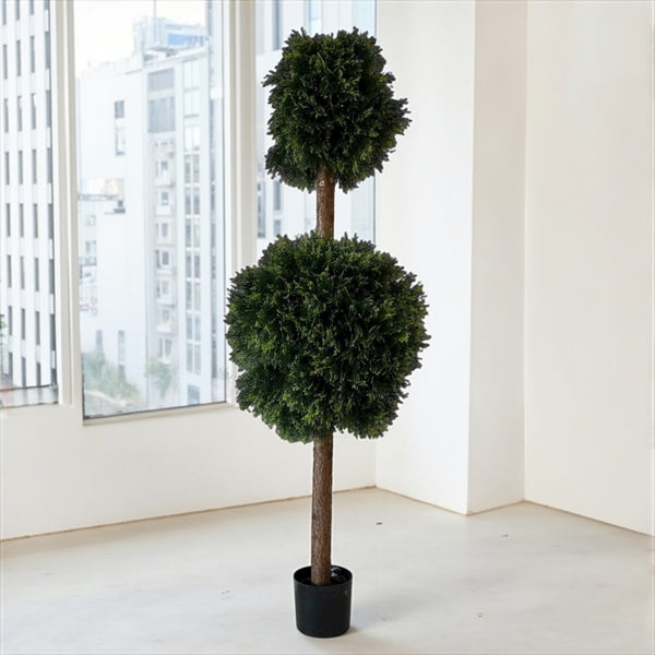 დეკორატიული ხე