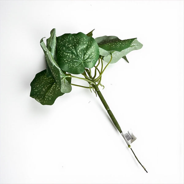 დეკორატიული გამწვანება