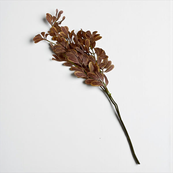 დეკორატიული გამწვანება