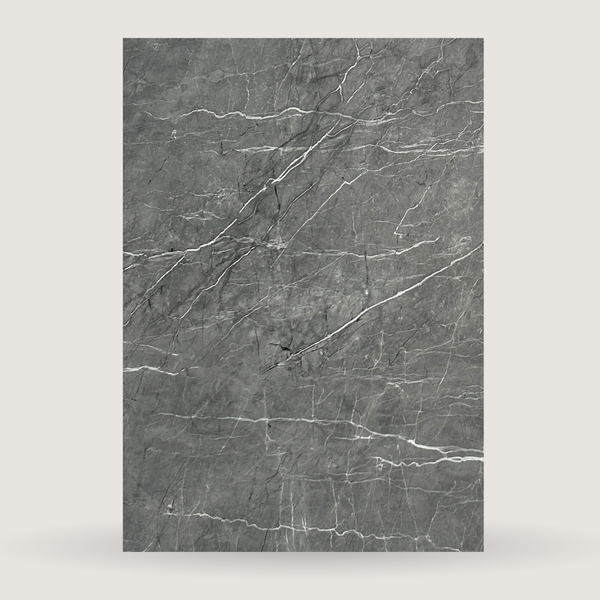 კედლის პანელი