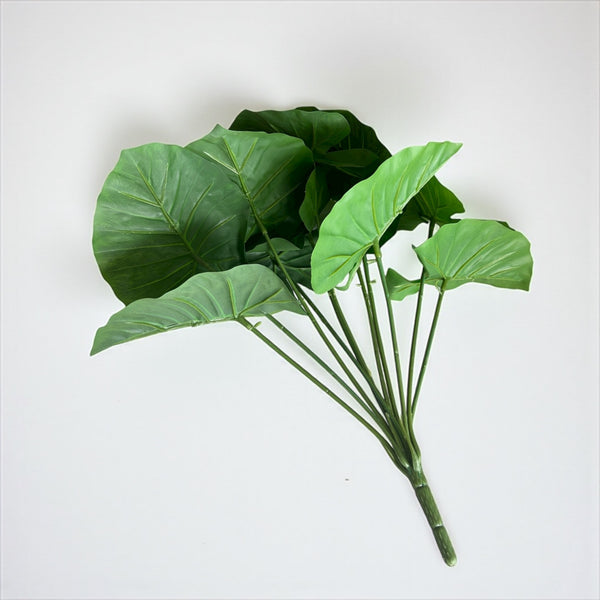 დეკორატიული გამწვანება