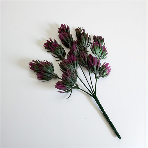 დეკორატიული გამწვანება