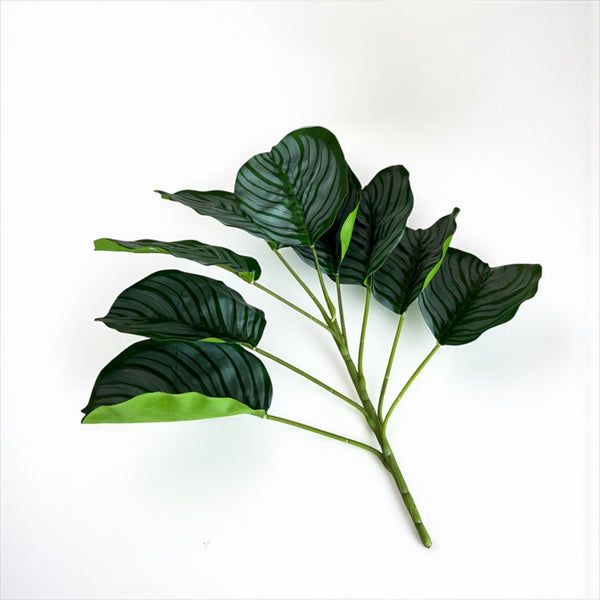 დეკორატიული გამწვანება