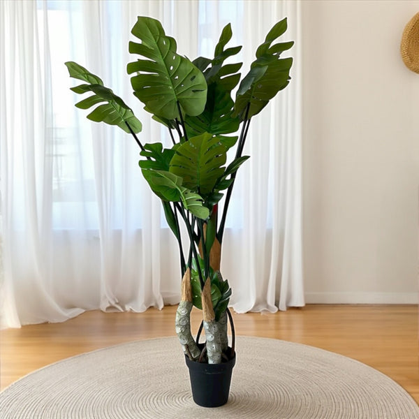 დეკორატიული ხე