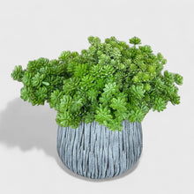 საყვავილე