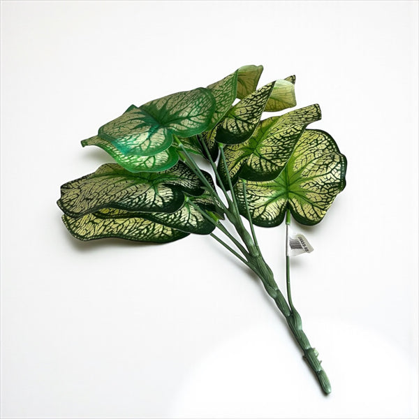 დეკორატიული გამწვანება