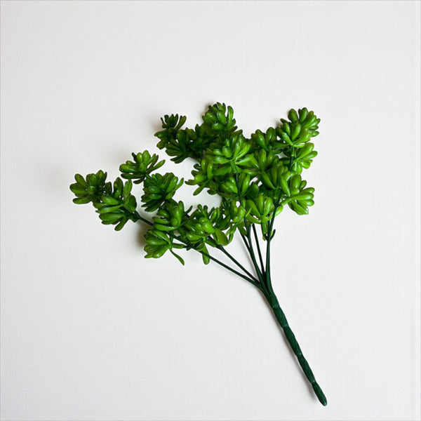 დეკორატიული გამწვანება