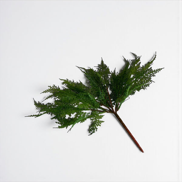 დეკორატიული გამწვანება