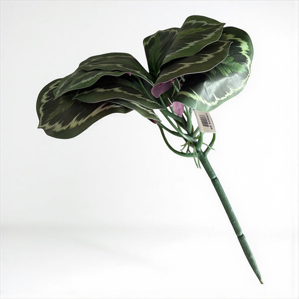 დეკორატიული გამწვანება