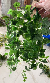 დეკორატიული გამწვანება